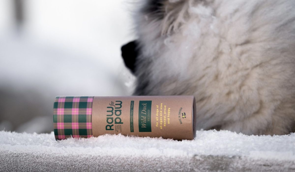 Raw for paws wild duck, vildand, ligger nedvält på en äldre träplanka med snö och frost på. i bakgrunden står en keeshond och kollar ut mot havet. Läs mer om Wild duck i vår blogg