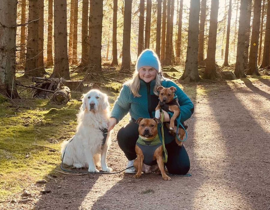 Supplements, kosttillskott. Elin sitter på en bred stig i skogen med hennes tre hundar, Örjan som är en GOlden Retriver sedan staffarna Tage och Helge. Hundarna äter Raw for paws naturliga kosttillskott för hundar och dom är så nöjda. Riktigt bra kosttillskott som elin verkligen ser resultat av