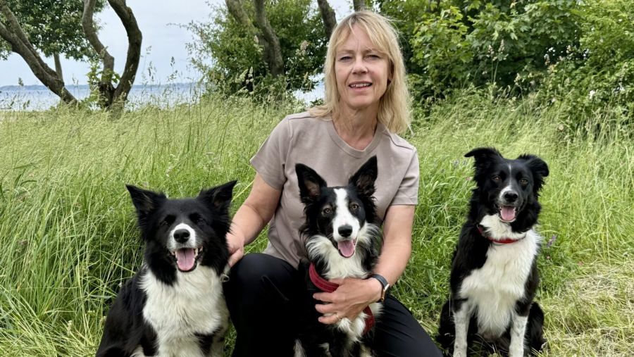 Raw for Paws ambassadör Jeanette med sina border collies