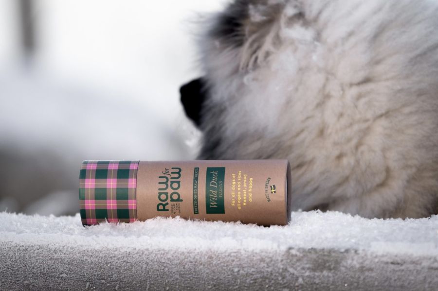 Raw for paws wild duck, vildand, ligger nedvält på en äldre träplanka med snö och frost på. i bakgrunden står en keeshond och kollar ut mot havet. Läs mer om Wild duck i vår blogg