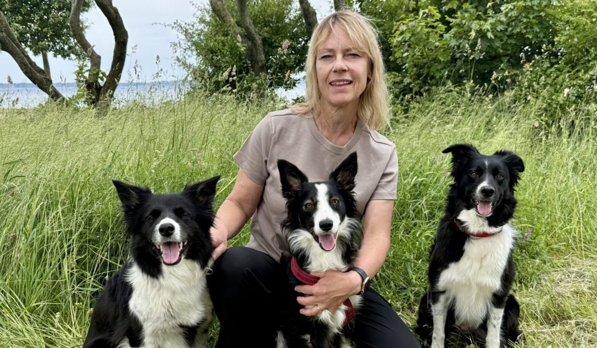 Raw for Paws ambassadör Jeanette med sina border collies